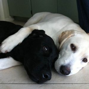 Meet your Posher, Mindy